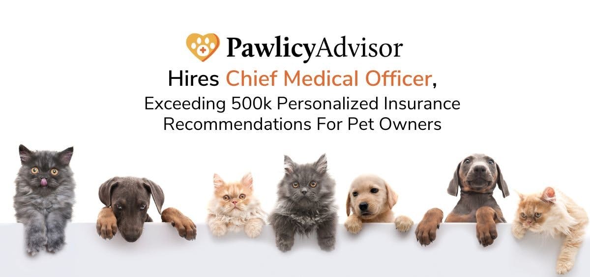 Pawlicy Advisor announces CMO hire and marketplace success