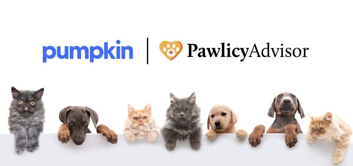 pumpkin pet insurance joins pawlicy advisor