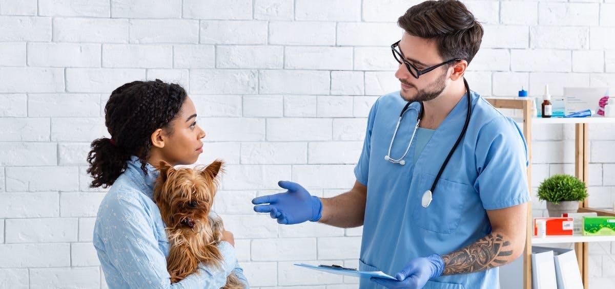 veterinary medicine communication