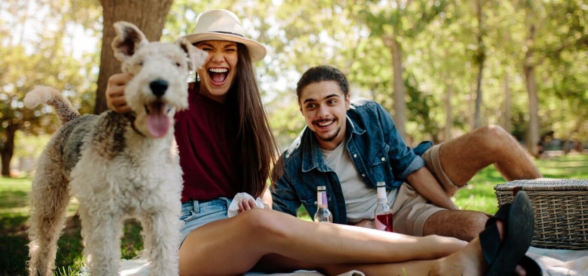couple on a picnic with dog