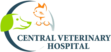 Central Veterinary Hospital - W. Clinch Ave Logo