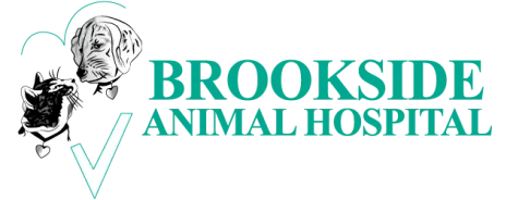 Brookside Animal Hospital, Coral Springs Logo