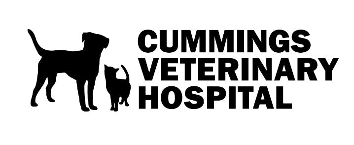 Cummings Veterinary Hospital Logo