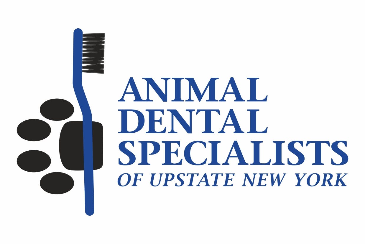 Animal Dental Specialists of Upstate New York Logo