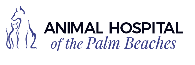 Animal Hospital of Palm Beaches Logo
