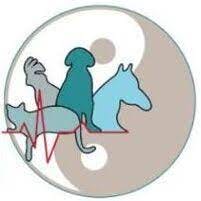 All Vet Care Animal Hospital Logo