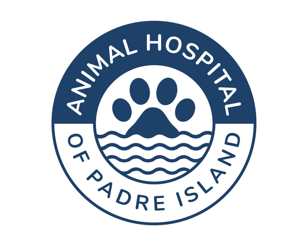 Animal Hospital Of Padre Island Logo