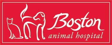 Boston Animal Hospital Logo