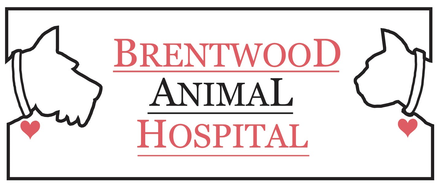 Brentwood Animal Hospital Logo