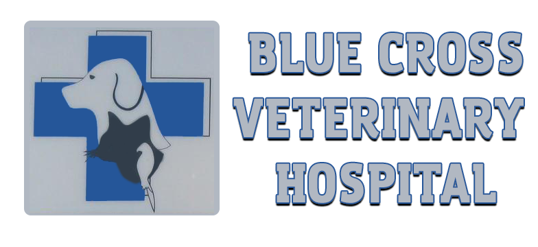 Blue Cross Veterinary Hospital Logo
