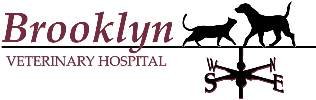 Brooklyn Veterinary Hospital Logo