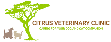 Citrus Veterinary Clinic Logo