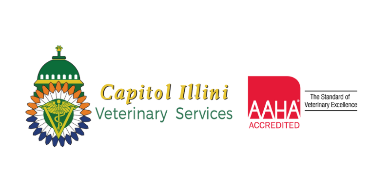 Capitol Illini Chatham Vet Logo
