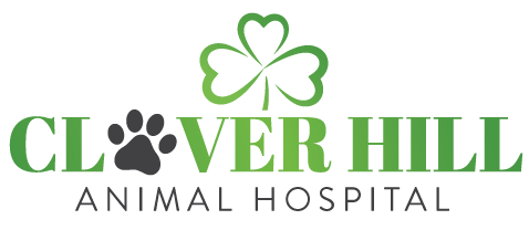 Clover Hill Animal Hospital Logo
