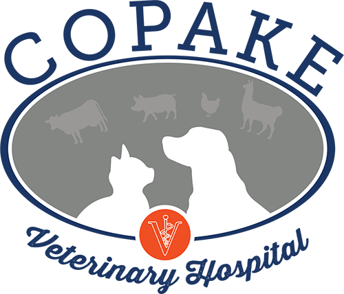 Copake Veterinary Hospital Logo