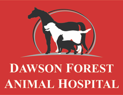 Dawson Forest Animal Hospital Logo