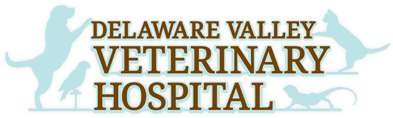 Delaware Valley Veterinary Logo
