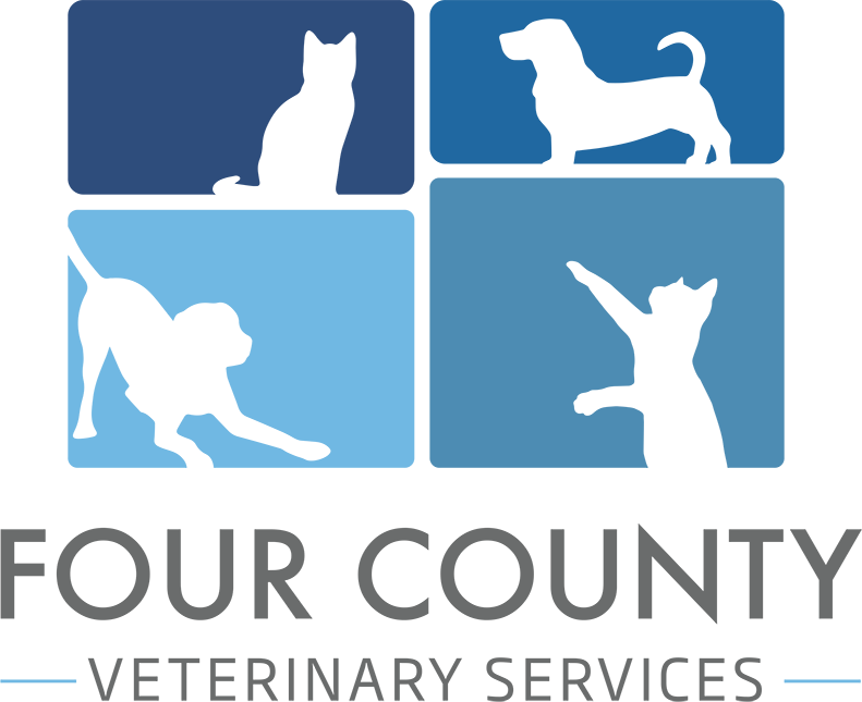 Four County Veterinary Services Logo