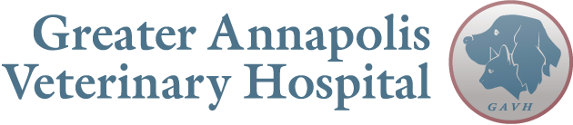 Greater Annapolis Vet Hospital Logo