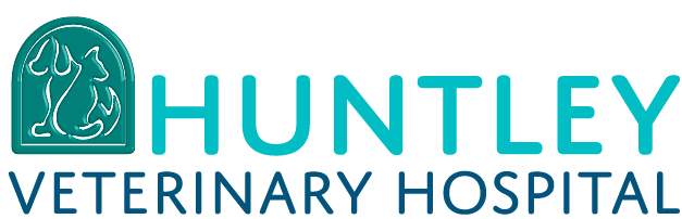 Huntley Veterinary Hospital Logo