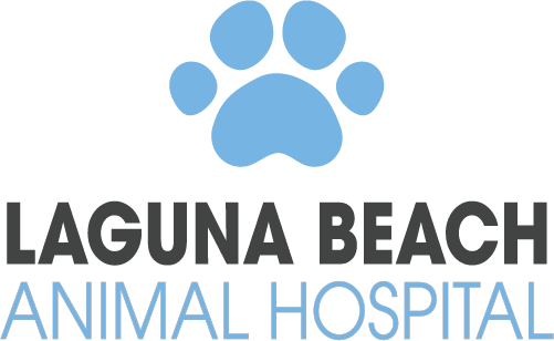 Laguna Beach Animal Hospital Logo