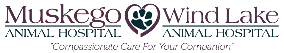 Wind Lake Animal Hospital Logo