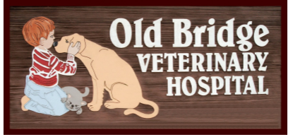 Old Bridge Veterinary Hospital Logo