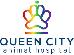 Queen City Animal Hospital Logo
