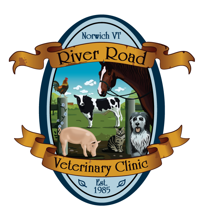 River Road Veterinary Clinic Logo