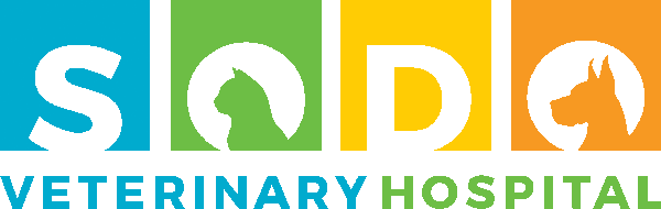 Sodo Veterinary Hospital Logo