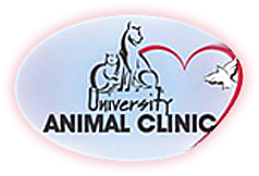 University Animal Clinic - Bradenton, FL Logo