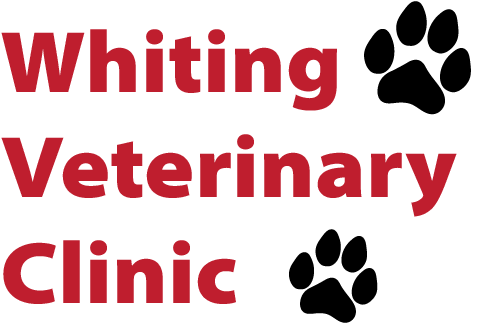 Whiting Veterinary Clinic Dr Logo