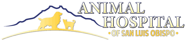 Animal Hospital of San Luis Obispo Logo