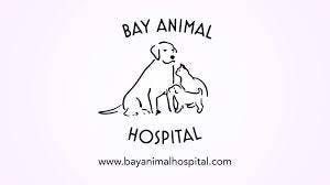 Bay Animal Hospital Logo