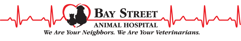 Bay Street Animal Hospital Logo