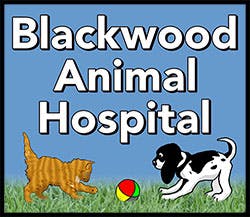 Blackwood Animal Hospital Logo