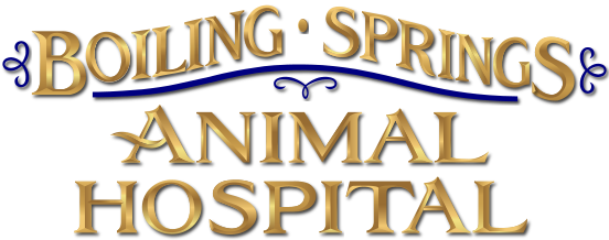 Boiling Springs Animal Hospital Logo