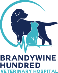 Brandywine Hundred Veterinary Hospital Logo