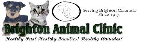 Brighton Animal Clinic Logo