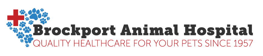 Brockport Animal Hospital Logo