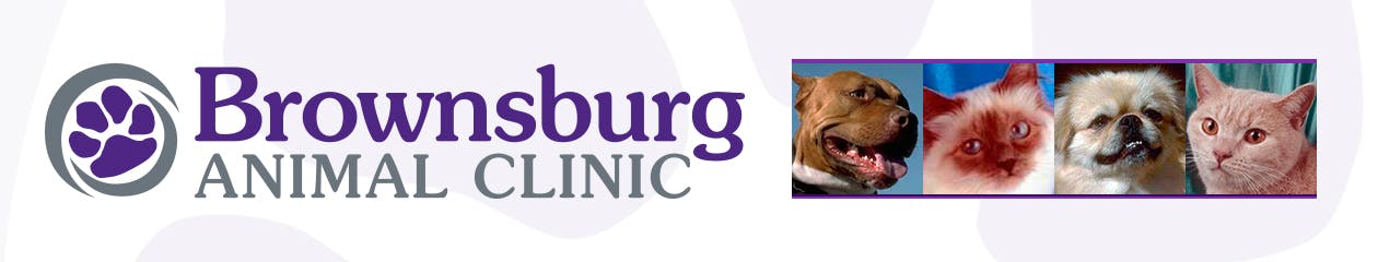 Brownsburg Animal Clinic Logo