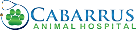 Cabarrus Animal Hospital Logo