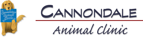 Cannondale Animal Hospital Logo