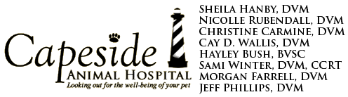Capeside Animal Hospital Logo