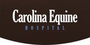 Carolina Equine Hospital Logo