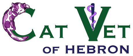 The Cat Vet of Hebron Logo