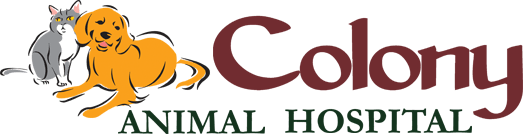 Colony Animal Hospital Logo