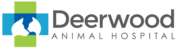 Deerwood Animal Hospital Logo