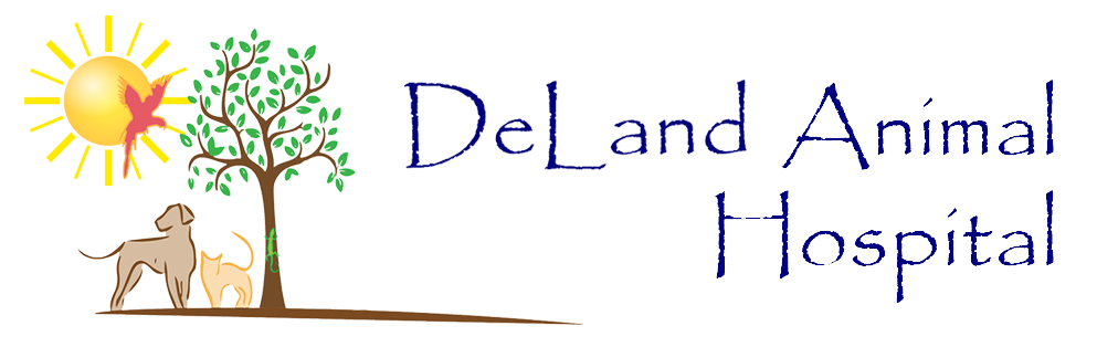 DeLand Animal Hospital Logo