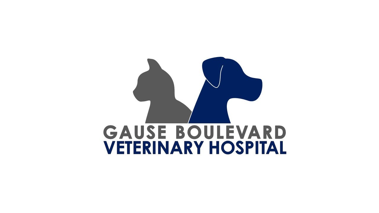 Gause Boulevard Veterinary Hospital Logo